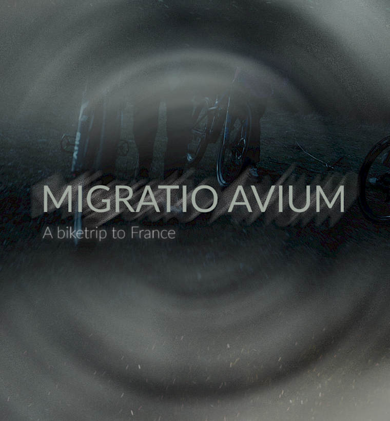 Migratio Avium - Une histoire d'oiseaux et de vélos